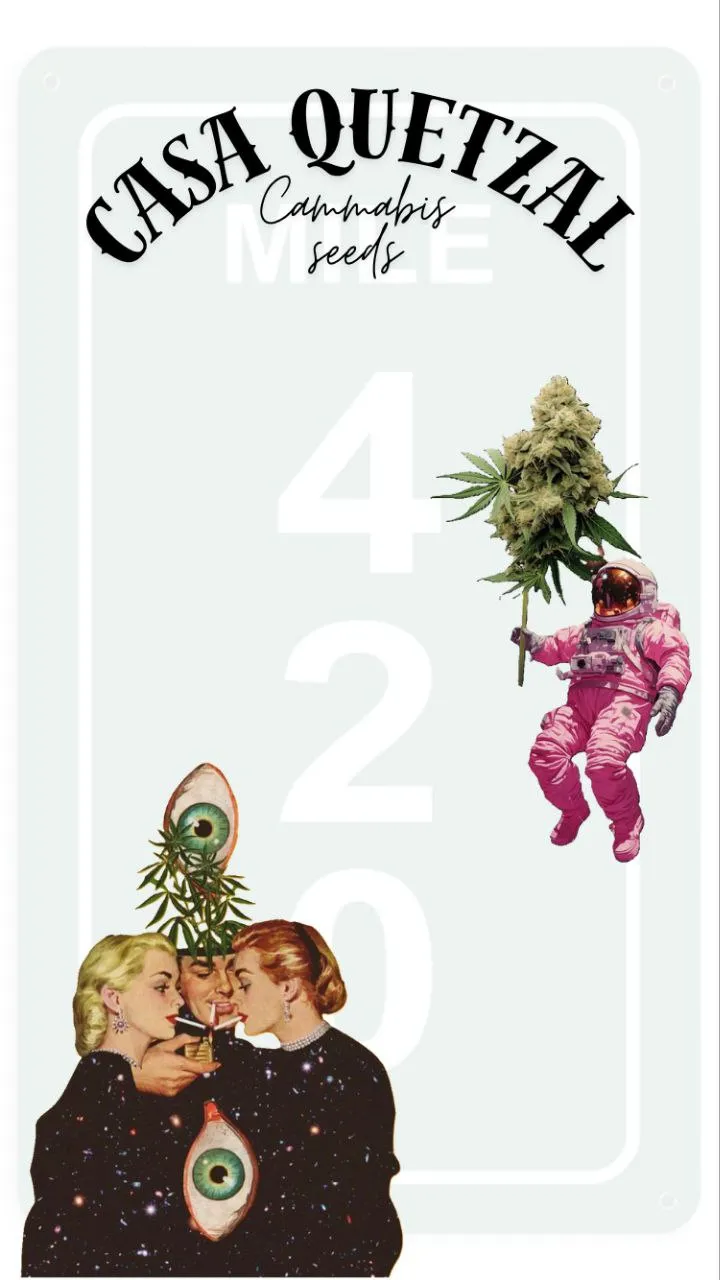 Cultivos regenerativos de cáñamo