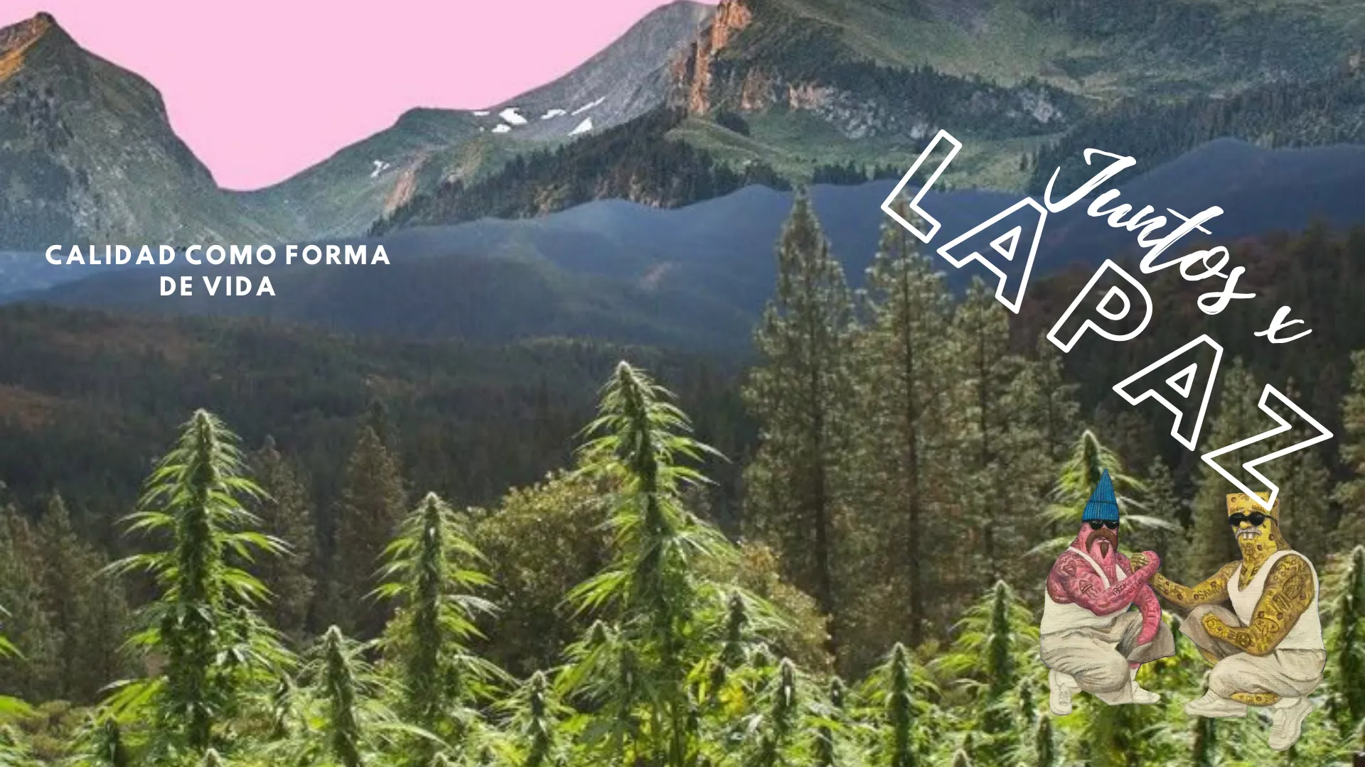 Comunidad CQCS y beneficios de membresía