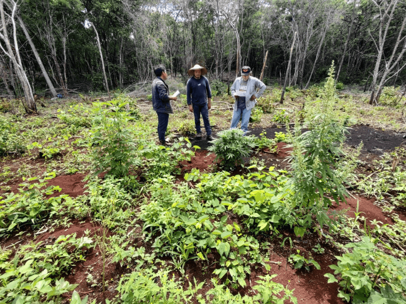 Productor local en la comunidad